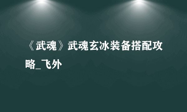 《武魂》武魂玄冰装备搭配攻略_飞外