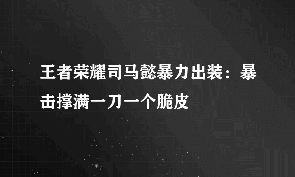 王者荣耀司马懿暴力出装：暴击撑满一刀一个脆皮