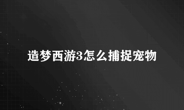 造梦西游3怎么捕捉宠物