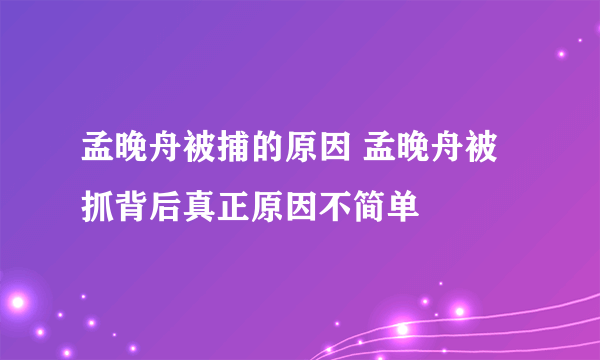 孟晚舟被捕的原因 孟晚舟被抓背后真正原因不简单