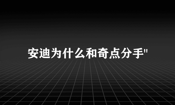 安迪为什么和奇点分手