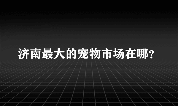 济南最大的宠物市场在哪？