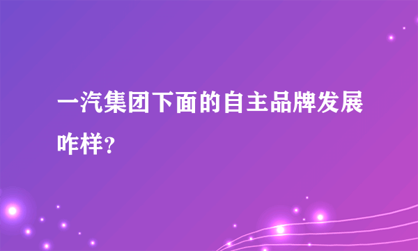 一汽集团下面的自主品牌发展咋样？