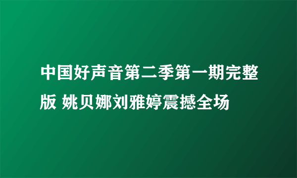 中国好声音第二季第一期完整版 姚贝娜刘雅婷震撼全场