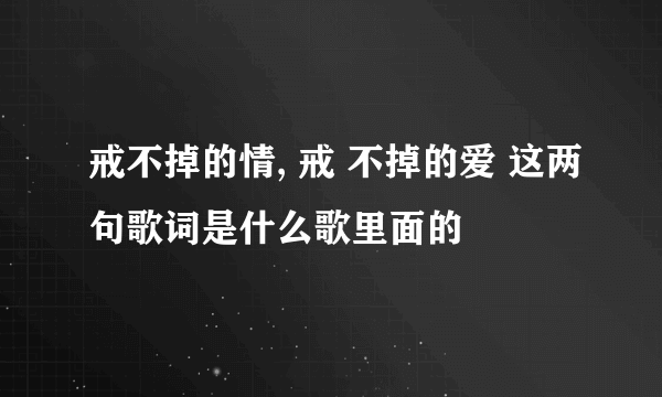 戒不掉的情, 戒 不掉的爱 这两句歌词是什么歌里面的