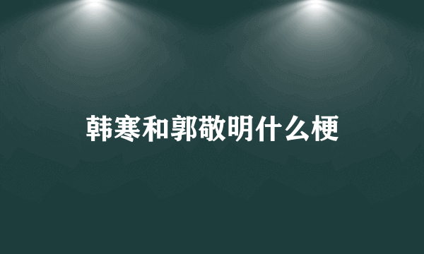 韩寒和郭敬明什么梗