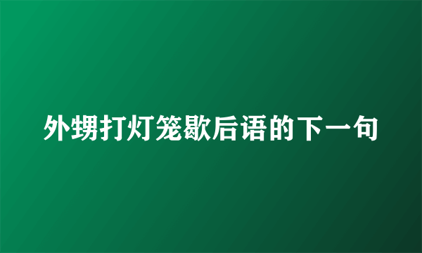 外甥打灯笼歇后语的下一句