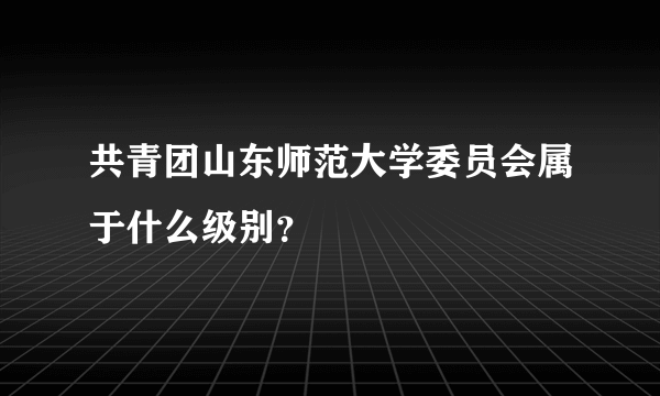 共青团山东师范大学委员会属于什么级别？