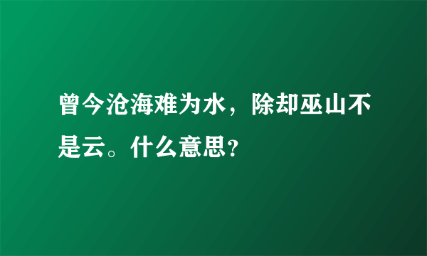 曾今沧海难为水，除却巫山不是云。什么意思？