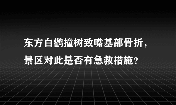 东方白鹳撞树致嘴基部骨折，景区对此是否有急救措施？