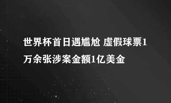 世界杯首日遇尴尬 虚假球票1万余张涉案金额1亿美金