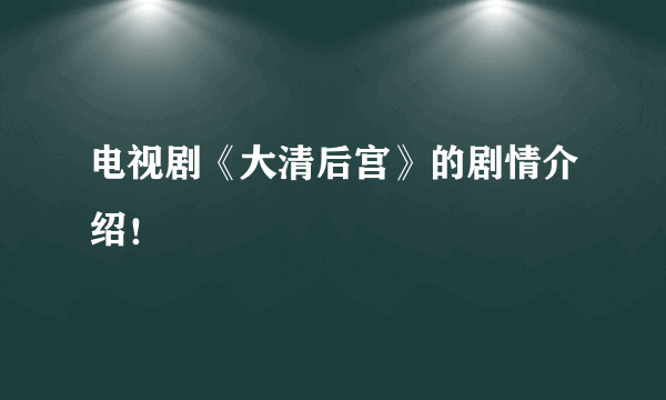 电视剧《大清后宫》的剧情介绍！