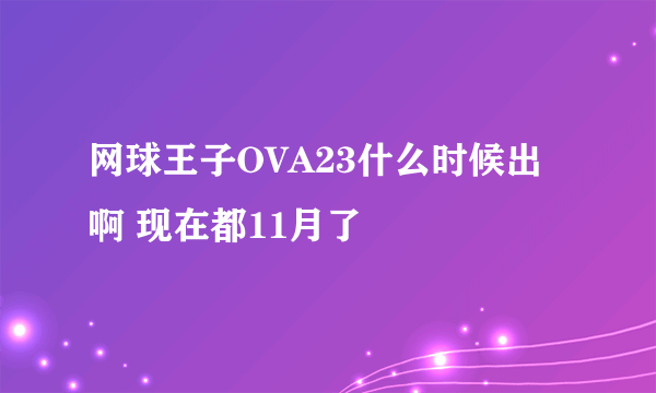 网球王子OVA23什么时候出啊 现在都11月了