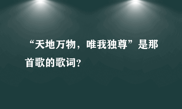 “天地万物，唯我独尊”是那首歌的歌词？