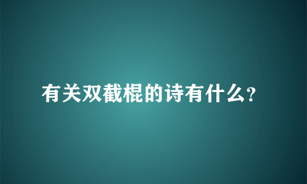 有关双截棍的诗有什么？