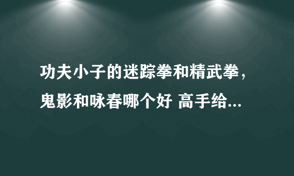 功夫小子的迷踪拳和精武拳，鬼影和咏春哪个好 高手给他们排下名！