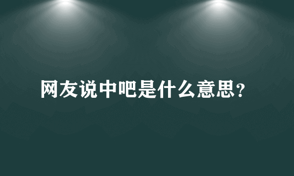 网友说中吧是什么意思？