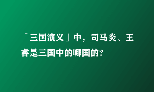 「三国演义」中，司马炎、王睿是三国中的哪国的?