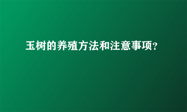 玉树的养殖方法和注意事项？