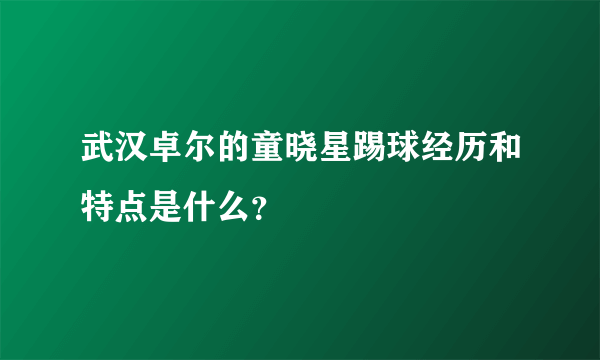 武汉卓尔的童晓星踢球经历和特点是什么？