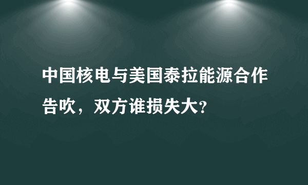 中国核电与美国泰拉能源合作告吹，双方谁损失大？