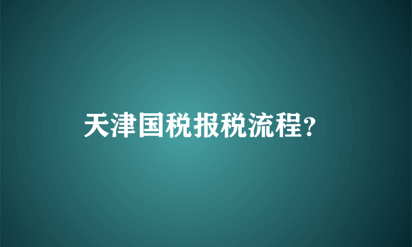 天津国税报税流程？