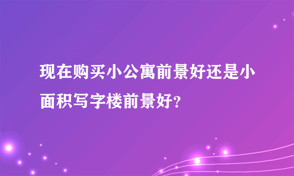 现在购买小公寓前景好还是小面积写字楼前景好？