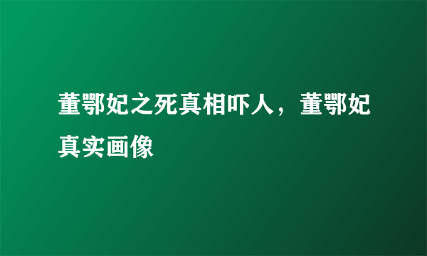 董鄂妃之死真相吓人，董鄂妃真实画像