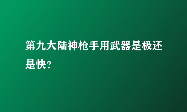 第九大陆神枪手用武器是极还是快？