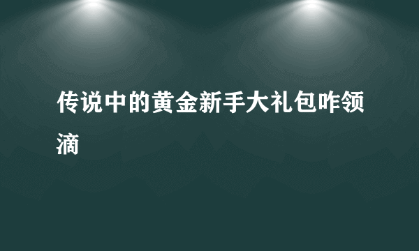 传说中的黄金新手大礼包咋领滴