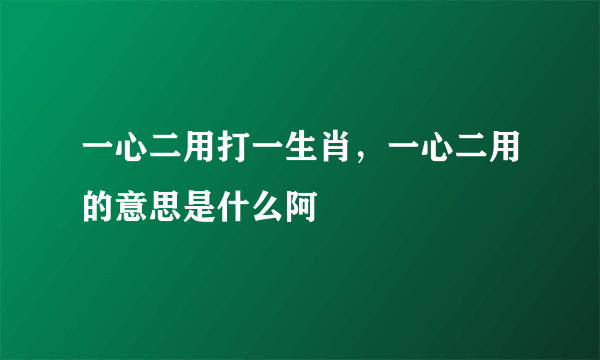 一心二用打一生肖，一心二用的意思是什么阿