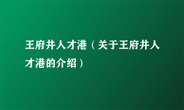 王府井人才港（关于王府井人才港的介绍）