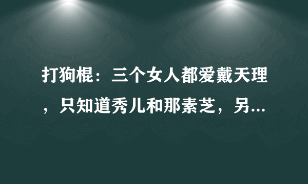 打狗棍：三个女人都爱戴天理，只知道秀儿和那素芝，另外一个是谁