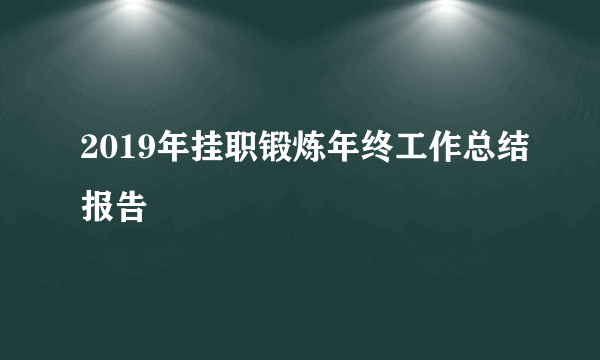 2019年挂职锻炼年终工作总结报告