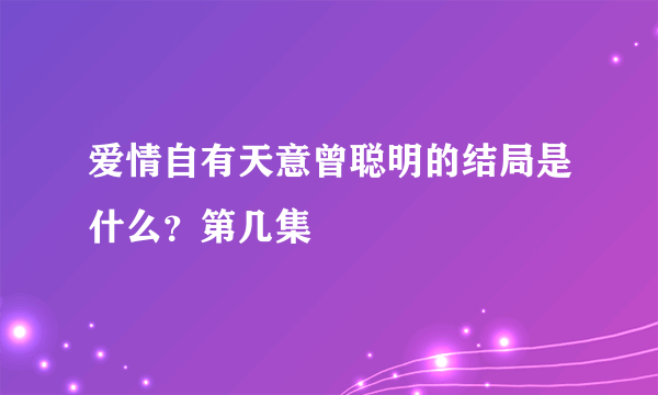 爱情自有天意曾聪明的结局是什么？第几集