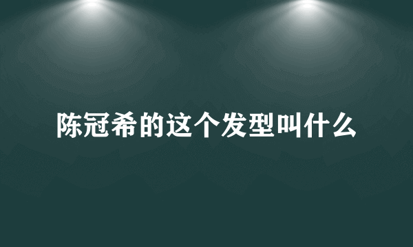 陈冠希的这个发型叫什么