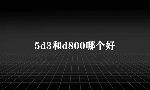 5d3和d800哪个好