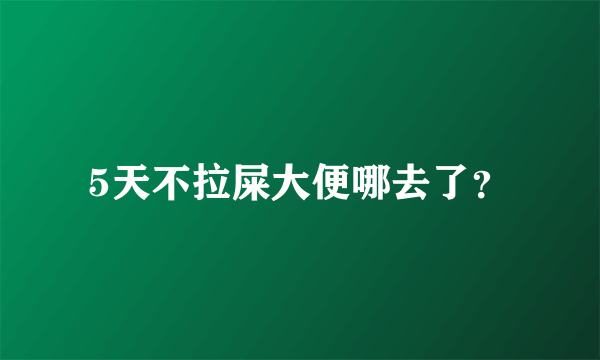 5天不拉屎大便哪去了？