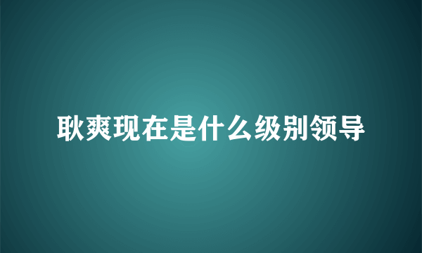 耿爽现在是什么级别领导