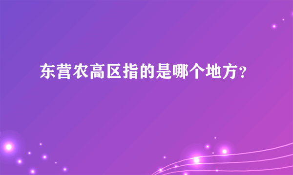 东营农高区指的是哪个地方？