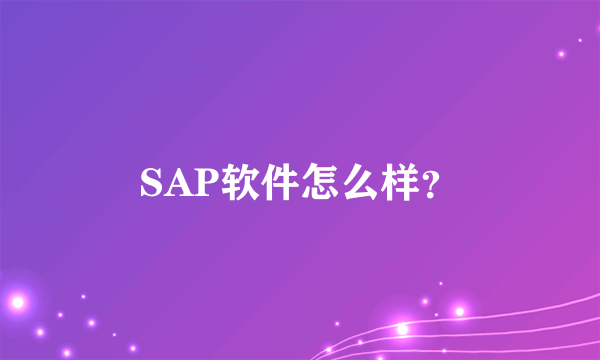 SAP软件怎么样？