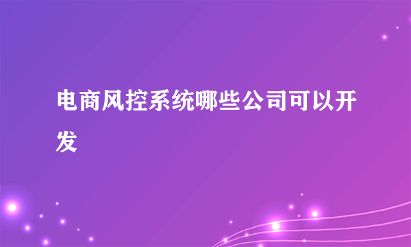 电商风控系统哪些公司可以开发