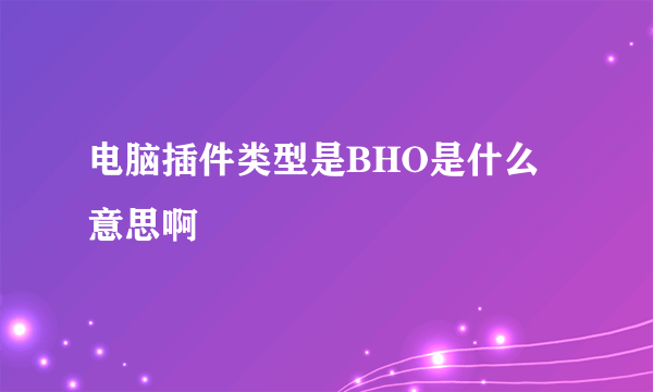 电脑插件类型是BHO是什么意思啊