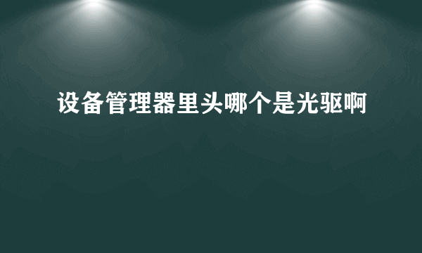 设备管理器里头哪个是光驱啊