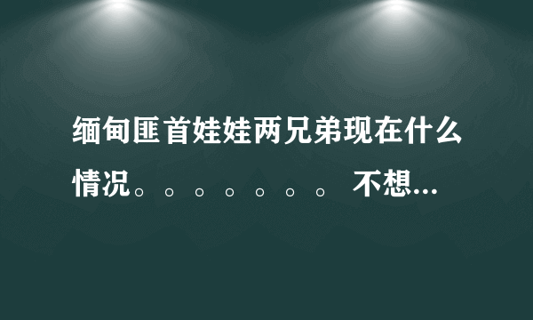 缅甸匪首娃娃两兄弟现在什么情况。。。。。。。 不想要复制的、、、