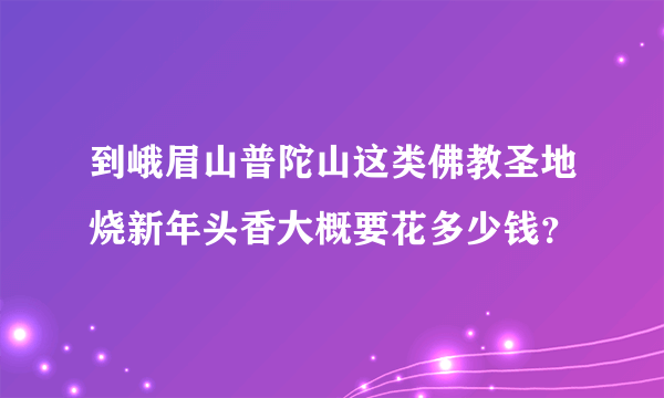 到峨眉山普陀山这类佛教圣地烧新年头香大概要花多少钱？