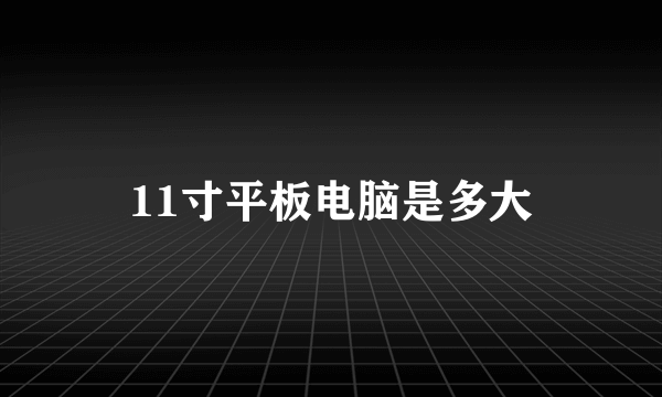 11寸平板电脑是多大