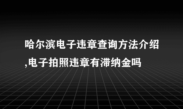 哈尔滨电子违章查询方法介绍,电子拍照违章有滞纳金吗