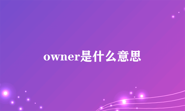 owner是什么意思