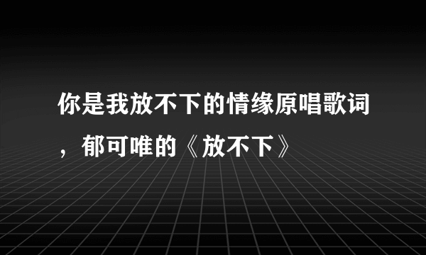 你是我放不下的情缘原唱歌词，郁可唯的《放不下》